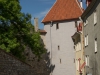 estland3
