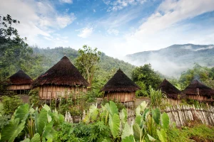 Hutten met rieten daken tussen groene planten op een beboste berghelling met mist